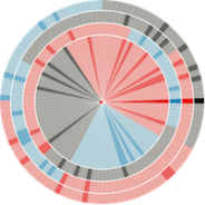 Information visualization